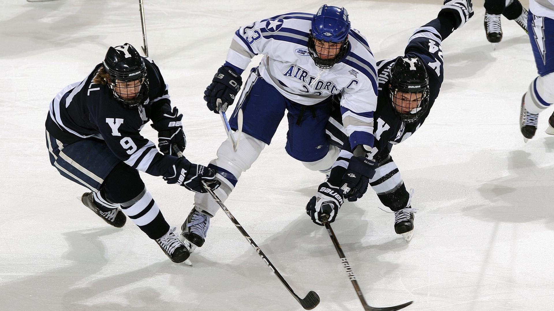 足球场馆数字化管理平台应用推广，提升运营效率，足球场运营管理方案